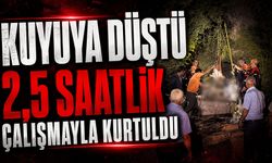 Kastamonu'da kuyuda can pazarı: Vinçle kurtarıldı!