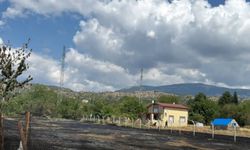 Tosya’da otlar tutuştu, ekipler seferber oldu