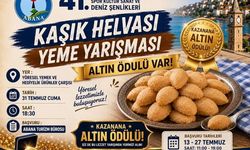 Abana’da lezzet yarışı altınla taçlanacak