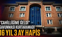 Kastamonu'da “cahilliğime geldi” savunması kurtaramadı