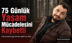 Kastamonu'da üzerine ağaç devrilen orman işçisinden acı haber