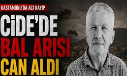 Cide’de bal arısı can aldı