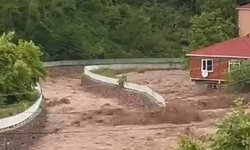Cide'de dere duvarı çöktü, evleri su bastı