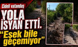 Cideli vatandaş yola isyan etti: "Eşek bile geçemiyor"