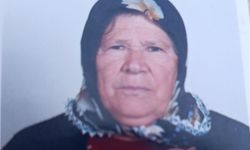 Cide bir çınarını daha kaybetti