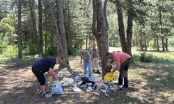 Kastamonu ormanlarında hayrete düşüren görüntüler