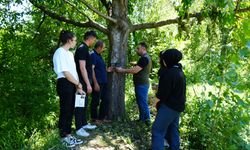 Kastamonu’da ayı şehir merkezine kadar indi