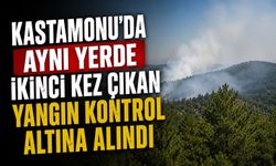 Kastamonu'da aynı yerde ikinci kez çıkan yangın kontrol altına alındı