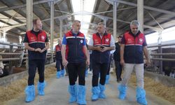Kastamonu'da besi işletmesine yerinde inceleme