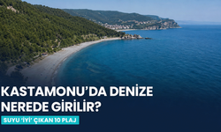 Kastamonu’da Denize Nerede Girilir? Suyu “İyi” Çıkan 10 Plaj
