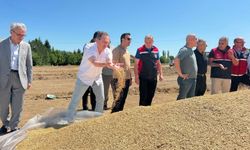 Kastamonu’da hasat bereketi: TMO ilk buğdayı teslim aldı