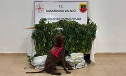 Kastamonu'da narkotik operasyonu: 3 tutuklama