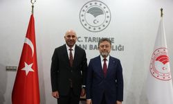 AK Parti’den Özel’e ‘bakan’ cevabı: "Kastamonu’nun bakanı zaten var”