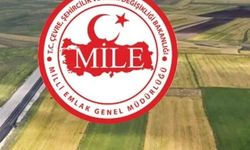 Milli Emlak'tan Kastamonu’da yatırım fırsatı: 19 taşınmaz alıcısını bekliyor