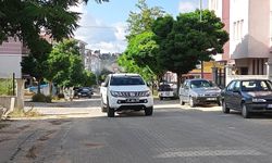 Seydiler’de haşereyle mücadele çalışmaları sürüyor