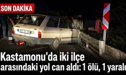 Kastamonu'da iki ilçe arasındaki yol can aldı