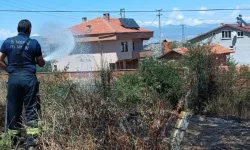 Kastamonu'da ot yangını köyü alarma geçirdi