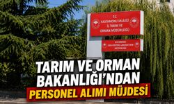 Tarım ve Orman Bakanlığı'ndan personel alımı müjdesi
