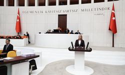 Ekmekci Cide’deki seli TBMM gündemine taşıdı