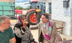 TMO Gölköy Alım Noktası’nda hasat mesaisi