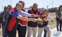 TMO’da 2026 hububat alım sezonu başladı: Üreticilere bereketli hasat mesajı
