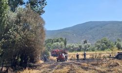 Tosya'da ekili arazide yangın çıktı