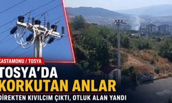 Tosya’da elektrik direğinden kıvılcımlar çıktı, otluk alan yandı