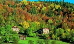 Batı Karadeniz'de ezber bozan gerçek: Kastamonu değilmiş!