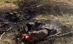Tosya’da duyarlı vatandaş olası yangını önledi