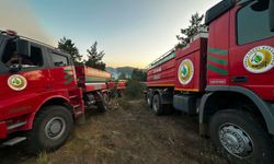 Taşköprü’de yangın bölgesinden yeniden duman yükseldi
