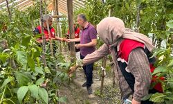 Kastamonulu üreticinin destekleri yerinde incelendi