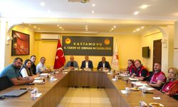 Devrekani Besi OSB’de yatırımlar ve üretim kapasitesi değerlendirildi