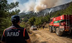 AFAD’dan orman yangınlarına karşı hayati uyarı