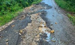 Bu yol yüzünden köylerine dönemiyorlar