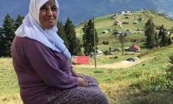 Cide'de acı kayıp: Melike Kaplan vefat etti