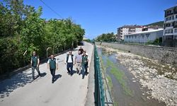 Cide’de taşkın riskine karşı kritik inceleme