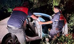 Cide'de virajı alamayan araç şarampole savruldu: 1 yaralı