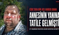 Cide’den bir acı haber daha: Annesinin yanına gelmişti!