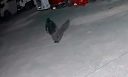 Kastamonu'da gece yarısı kooperatife saldırdı, kayıplara karıştı!