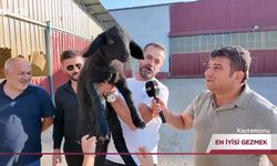 “En İyisi Gezmek” programında Kastamonu tanıtıldı