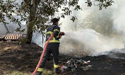 Kastamonu'da çıkan örtü yangını bahçelere sıçradı