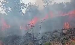 Tosya'da yangın: Kuru otlar tutuştu