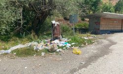 Tosya’da mola vermek için durdular, bu manzarayla karşılaştılar