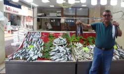 İnebolu’da sezonun ilk palamutları tezgaha çıktı