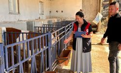 Kastamonu’da hayvancılık destekleri için işletmeler denetlendi