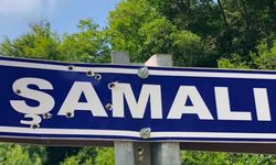 Kastamonu'da magandalar köy tabelasını delik deşik ettiler!
