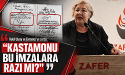 Kastamonu Milletvekillerine sordu: "Millet razı mı?"
