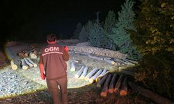 Kastamonu’nun ormanları 7 gün 24 saat korunuyor