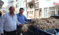 Kastamonu pazarında dikkat çeken fiyat: Soğan ile sarımsak yarışıyor!