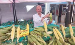 Kastamonu pazarında süt mısır bereketi: 6 tanesi 100 lira!